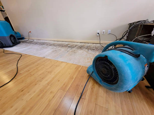 Professional Water Extraction technician working in Littlerock, CA